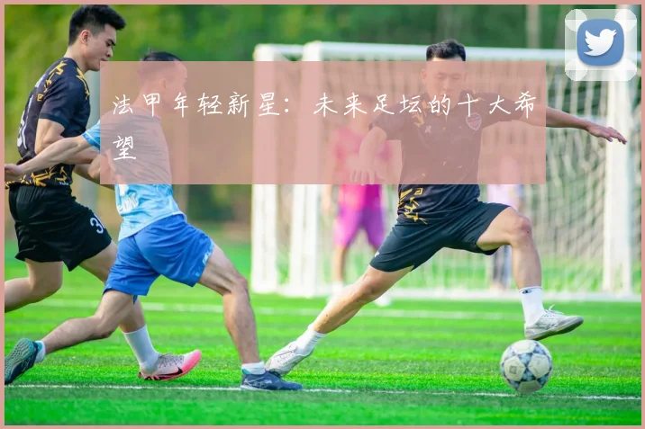 法甲年轻新星:未来足坛的十大希望