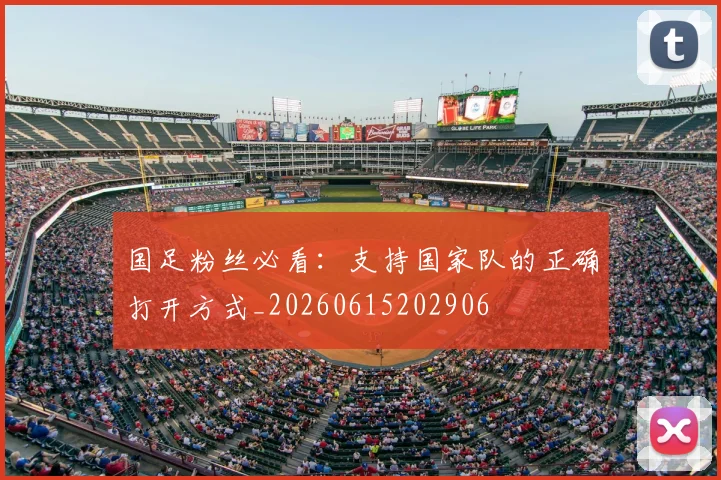 国足粉丝必看：支持国家队的正确打开方式_20260615202906